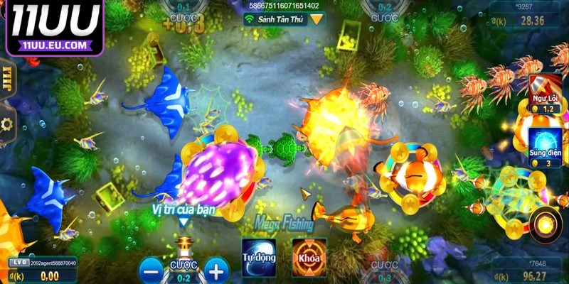 Tập trung ngắm bắn vào những con cá ở gần